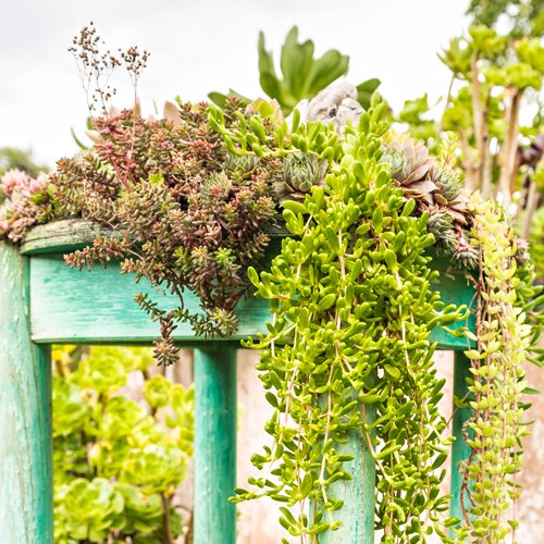 Themenwelten Der Home Garden Das Original Die Ausstellung Fur